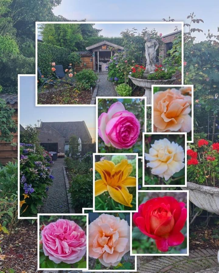 Bed and Breakfast La Rose Pelt Экстерьер фото